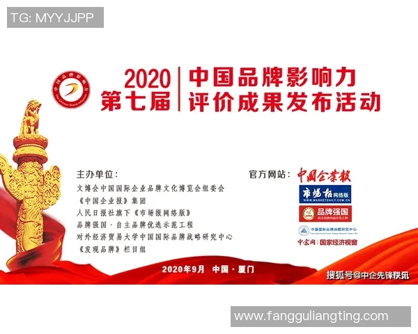 实时新闻深圳篮球队运营革新探索如何提升球队竞争力与品牌影响力